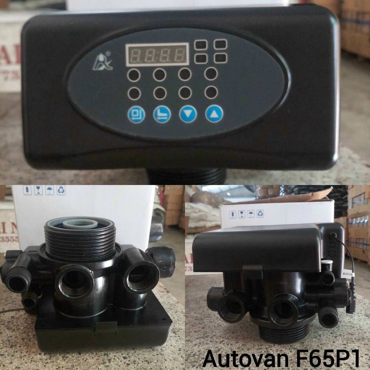 F65P F65P