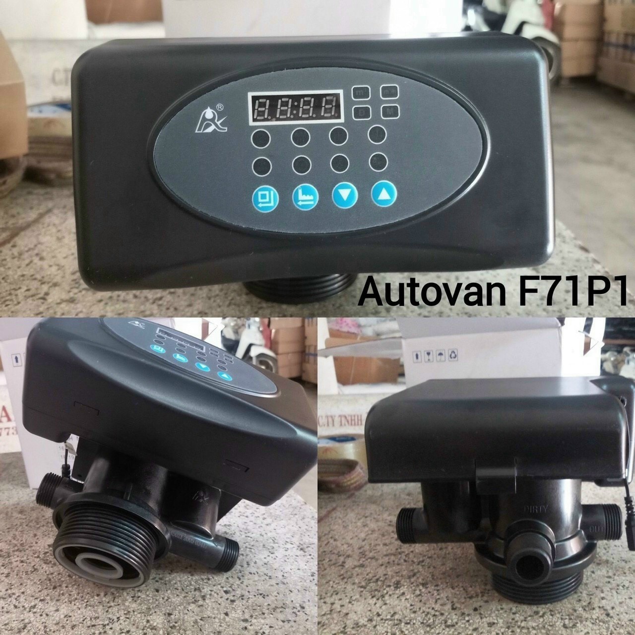 F71P1 F71P1