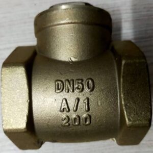 Van 1 chiều lá lật phi 49 1 Van 1 chieu la lat