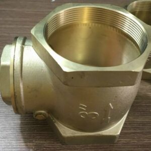 Van 1 chiều lá lật phi 49 2 Van 1 chieu thau rang trong